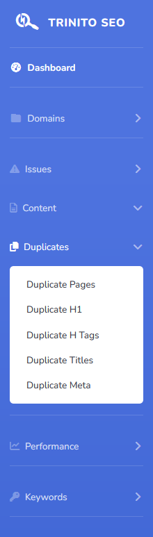 SEO Audit Duplicate Content